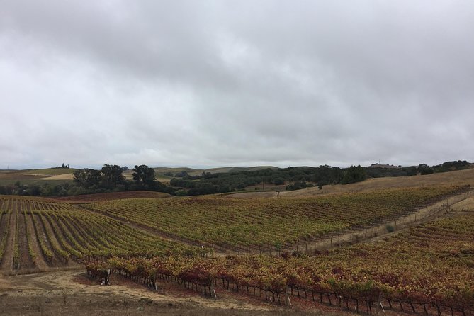 6-Hour Private Limousine Wine Country Tour of Napa or Sonoma - Starting with hotel pickup and a private limousine