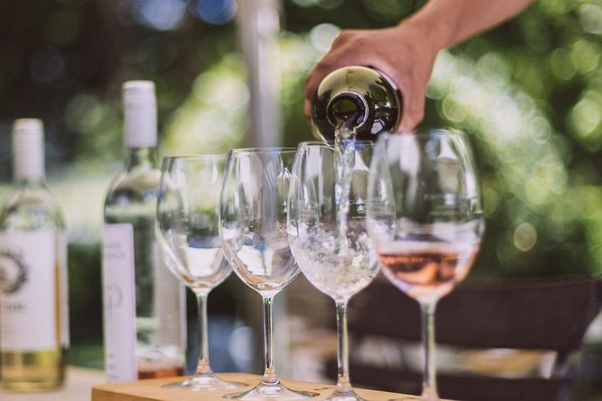 7 Day Garden Route to Addo, Cape Point and Winelands Combo tour - What this seven-day route is really like