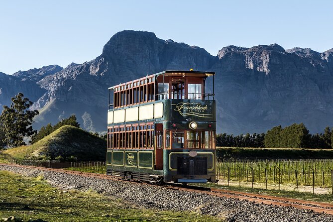 7 Day Garden Route to Addo, Cape Point and Winelands Combo tour - Elephants, the coast and Addo on day three