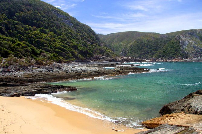 7 Day Garden Route to Addo, Cape Point and Winelands Combo tour - Three estates and up to 15 wine tastings