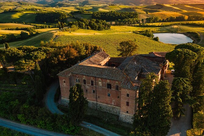 A Brunello Cooking Class with Vineyards View Winery - Cooking above Montalcino’s Brunello vines