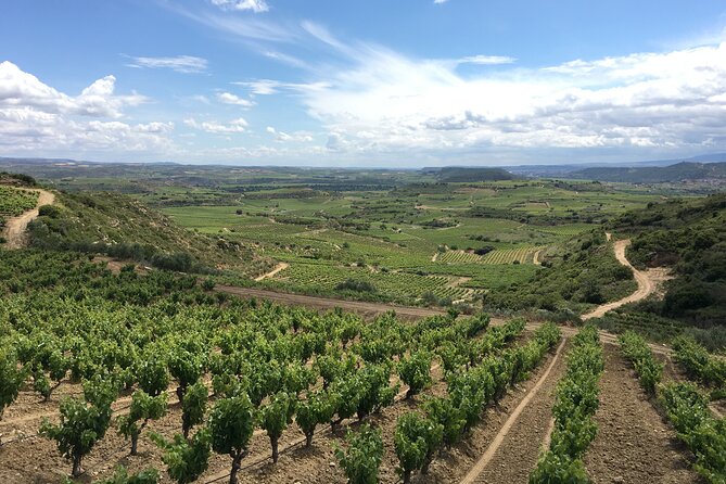 A Sip-By-Sip Tour of 3 Boutique Rioja Family Wineries (Private Tour with Lunch) - Laguardia’s walls, streets, and underground cellars