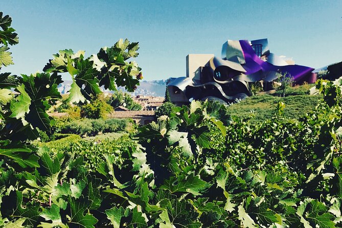 A Sip-By-Sip Tour of 3 Boutique Rioja Family Wineries (Private Tour with Lunch) - What the $480.10 price really covers