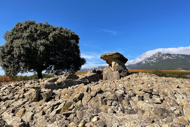 A Sip-By-Sip Tour of 3 Boutique Rioja Family Wineries (Private Tour with Lunch) - Riojano tapas with a traditional local wine