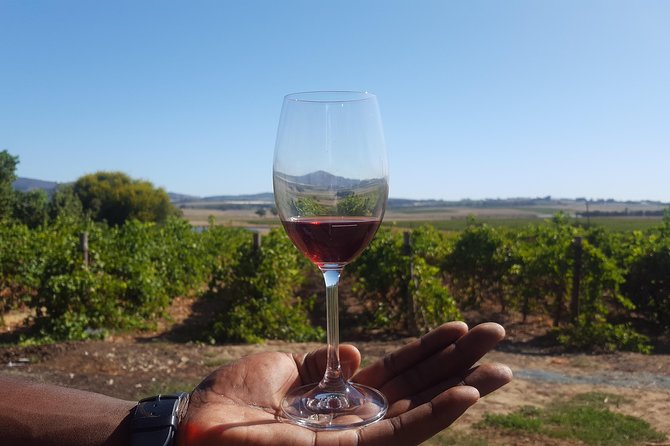 A Visit To Stellenbosch Franschoek Paarl Wineries From Cape Town Full Day - Key points to know before you book