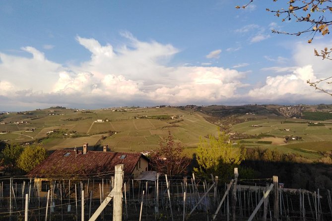 Abellonio Cascina Piccaluga - visit to the vineyards, to the wine tasting cellar - A Working Vineyard Above Alba