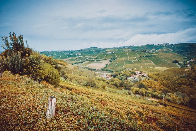 Abellonio Cascina Piccaluga - visit to the vineyards, to the wine tasting cellar - Should You Book Abellonio Cascina Piccaluga?