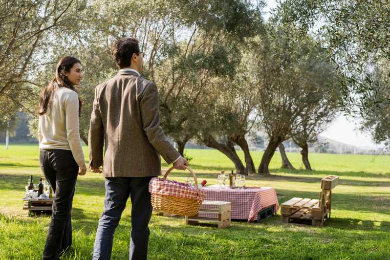 Abruzzo: Country Picnic in an Olive Grove at a Winery - Key points at a glance