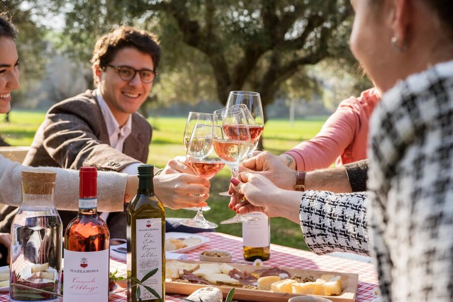 Abruzzo: Country Picnic in an Olive Grove at a Winery - What comes in the picnic basket