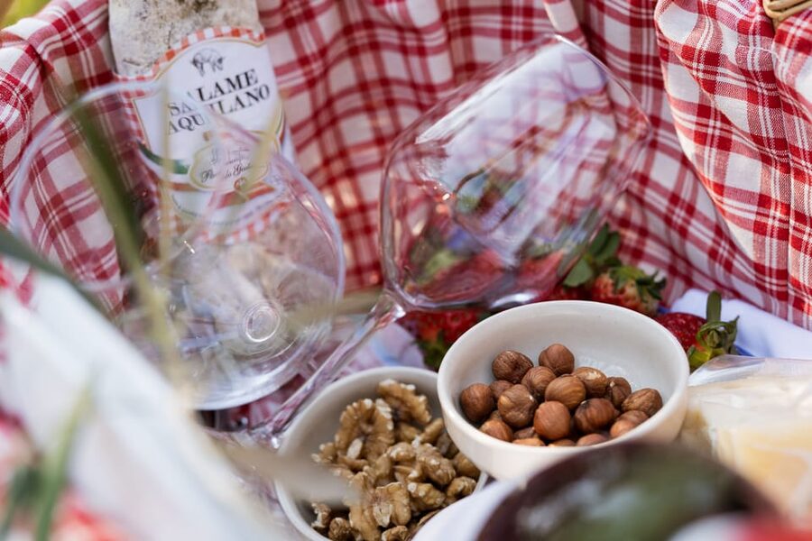 Abruzzo: Country Picnic in an Olive Grove at a Winery - The food, wine, and setting together