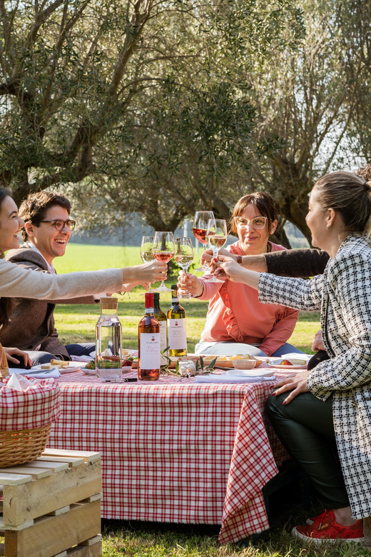 Abruzzo: Country Picnic in an Olive Grove at a Winery - Is $35 per person good value?