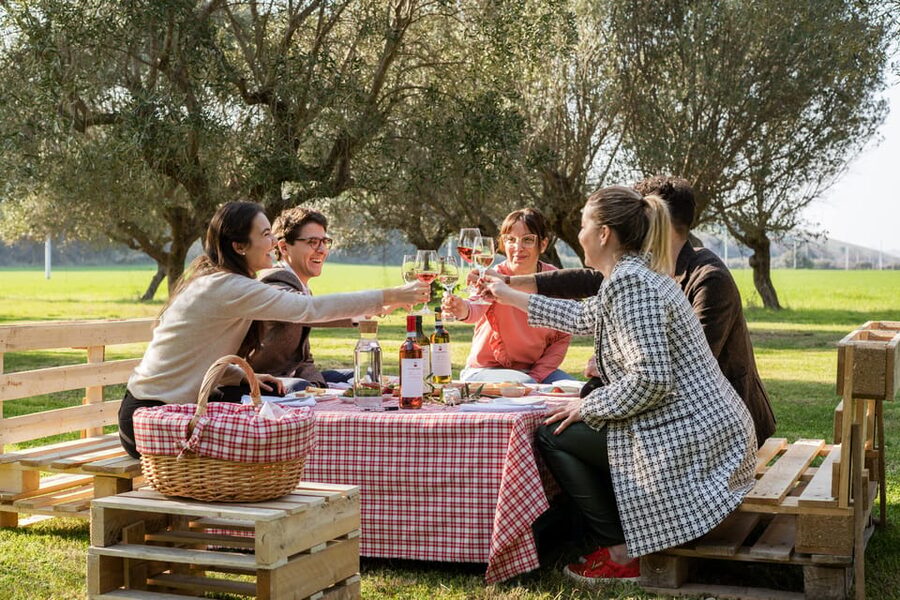 Abruzzo: Country Picnic in an Olive Grove at a Winery - Starting at Cantina Mazzarosa