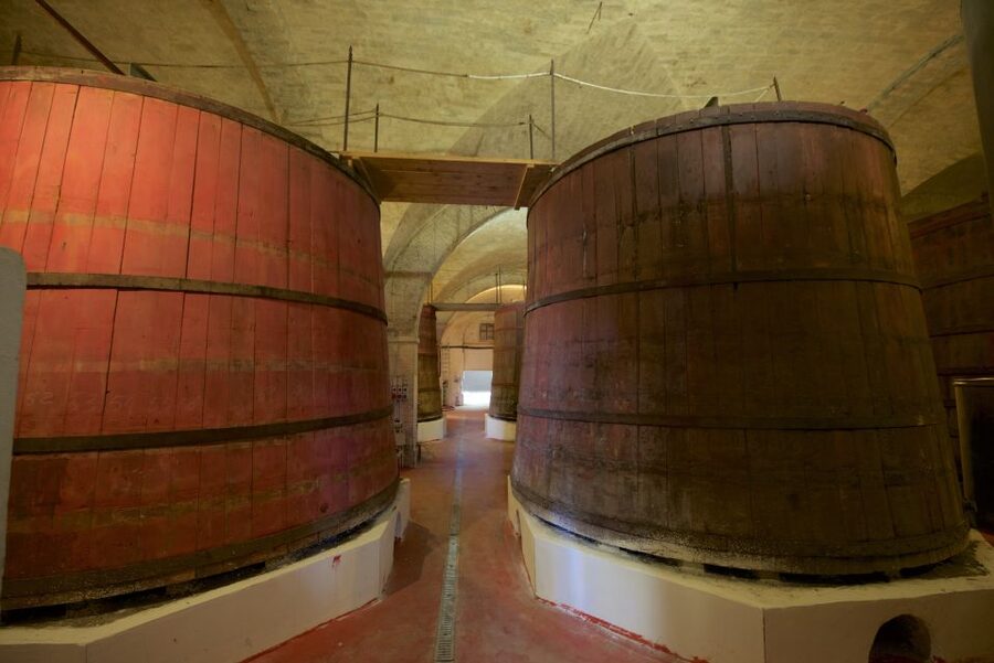 Abruzzo: Historic Cellar Wine Tour and Tasting - Why Mazzarosa’s 1863 cellar matters