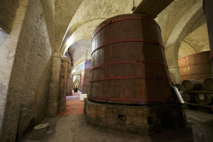 Abruzzo: Historic Cellar Wine Tour and Tasting - Practical details before you go