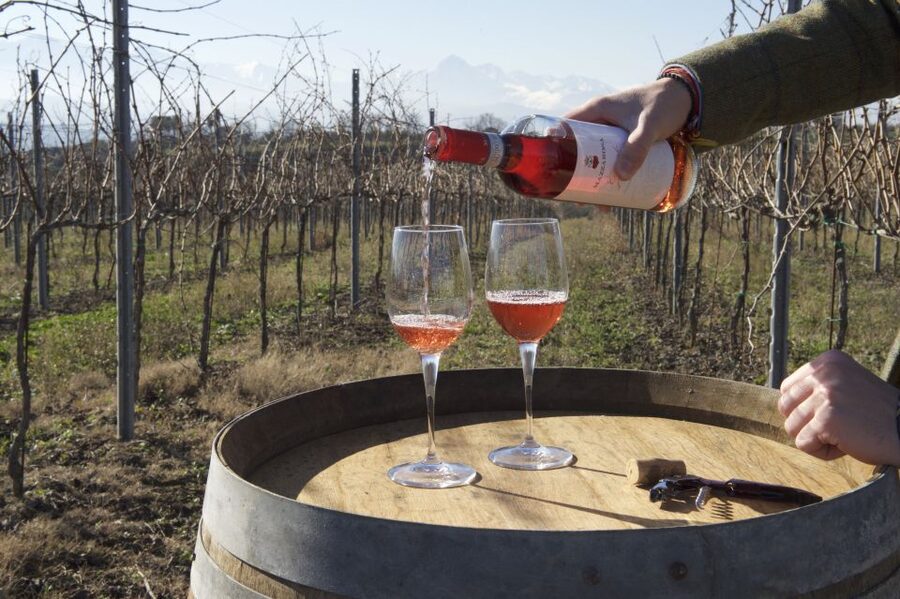 Abruzzo: Historic Cellar Wine Tour and Tasting - What the 90-minute format means for you