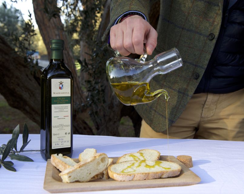 Abruzzo: Historic Cellar Wine Tour and Tasting - Who should book this experience