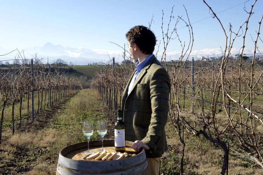 Abruzzo: Historic Cellar Wine Tour and Tasting - Five wines with an Abruzzo focus