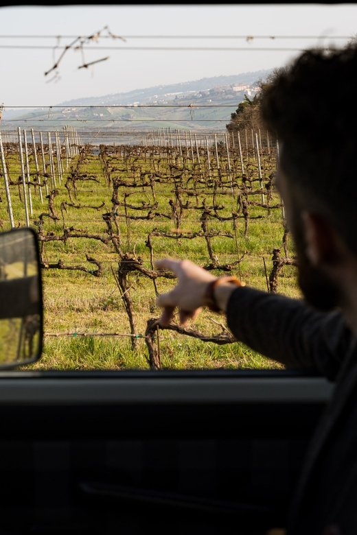 Abruzzo: Vineyard Jeep Tour with Tastings - Should you book the Cantina Mazzarosa tour?