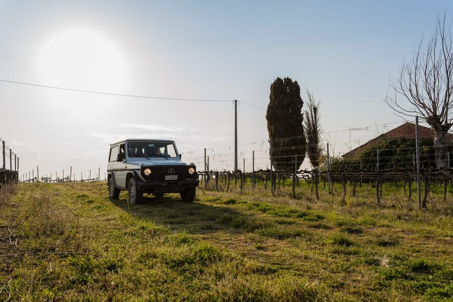 Abruzzo: Vineyard Jeep Tour with Tastings - Why this Abruzzo wine tour is different