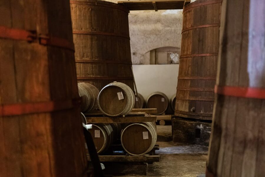 Abruzzo: Vineyard Jeep Tour with Tastings - The guides and the tone of the visit