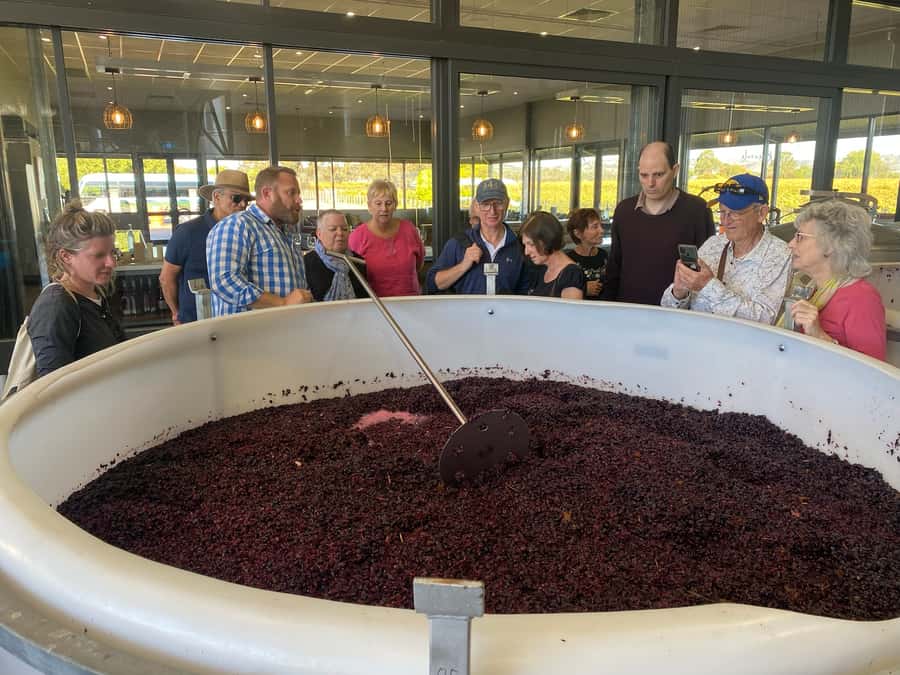 Adelaide: Barossa Premium Wine Tasting tour & Winery Lunch - Turkey Flat Vineyards and the regional platter lunch
