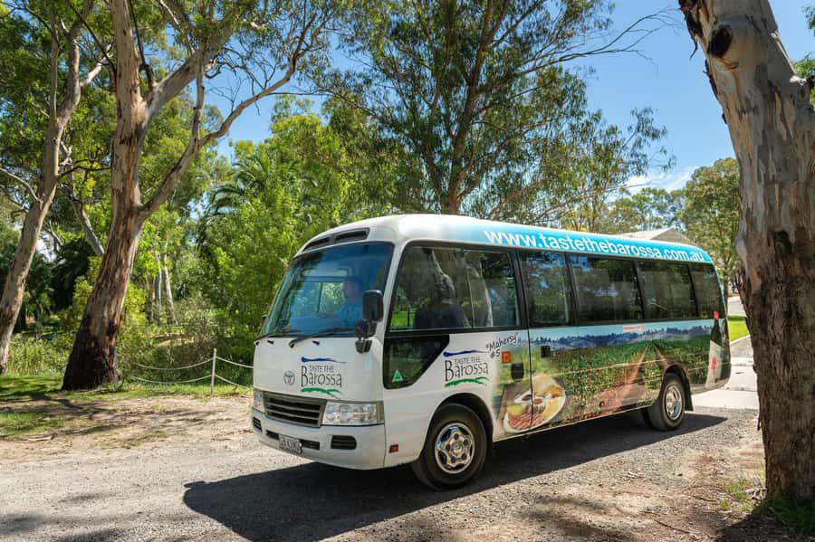 Adelaide: Barossa Premium Wine Tasting tour & Winery Lunch - Seppeltsfield’s Date Palms on the return route