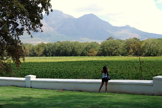 African Story Wine Tours in the Cape Winelands - Muratie, Eikenhof, Le Pommier, and Fairview