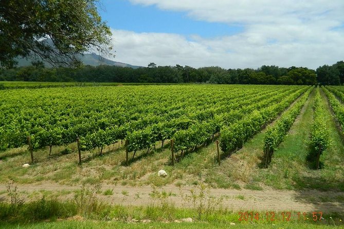 African Story Wine Tours in the Cape Winelands - Pairings that make the tastings easier