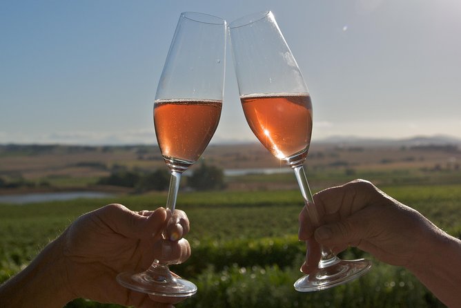 African Story Wine Tours in the Cape Winelands - A real lunch at Le Pommier