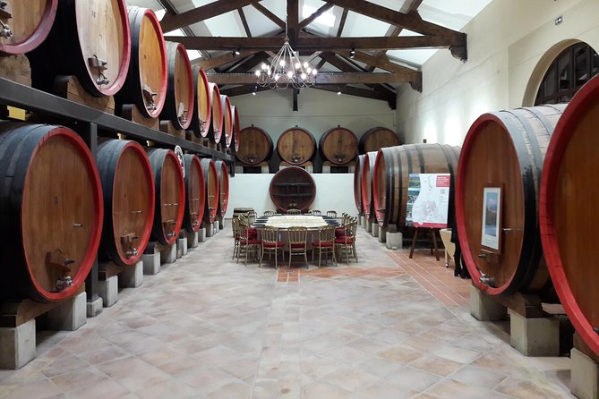 Afternoon Wine Tour to Chateauneuf du Pape from Avignon - Two wineries, two different tasting rooms