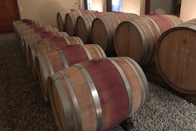 Afternoon Wine Tour to Chateauneuf du Pape from Avignon - The castle ruins and the best photo stop