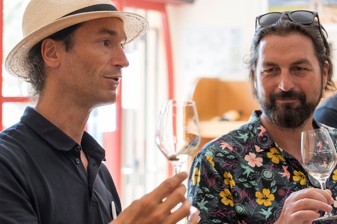 Afternoon Wine Tour to Chateauneuf du Pape from Avignon - How much value do you get for $127.03?