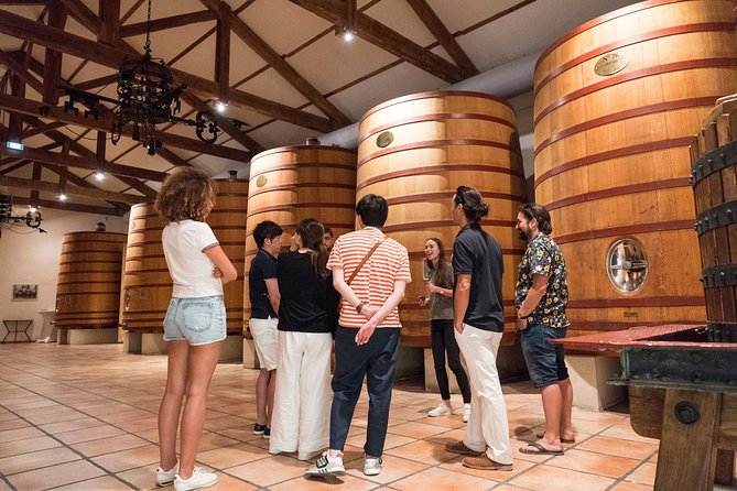 Afternoon Wine Tour to Chateauneuf du Pape from Avignon - Who will enjoy this wine tour most?