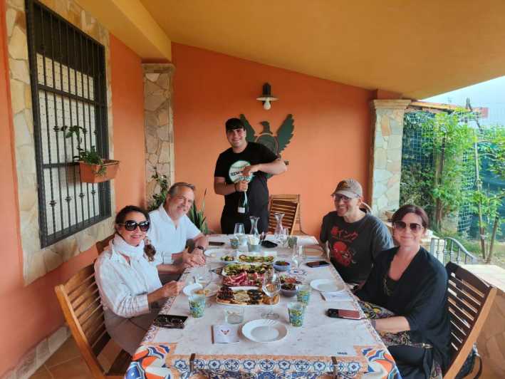 Agrigento: Wine tasting and walk in the vineyards. - Walking among the vines