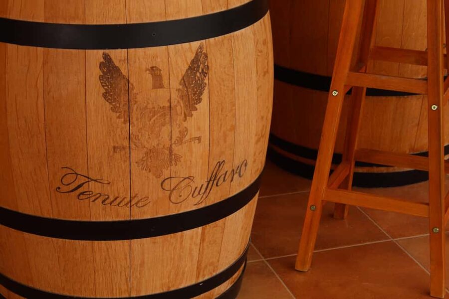 Agrigento: Wine tasting and walk in the vineyards. - The 30-minute ride from Agrigento and the coast