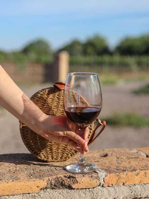 Aguascalientes: Magical Town and Winery Tour - The guides are a major part of the day