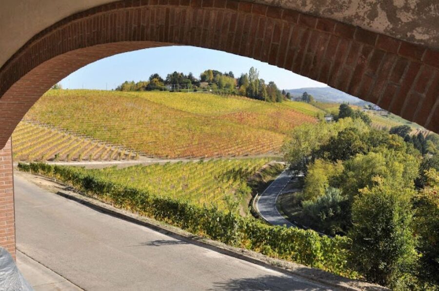 Alba: E-Bike Tour with wine tastin in cellar - Passing through Treiso before returning to Alba