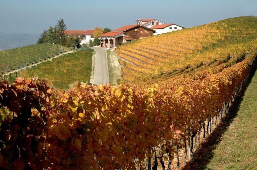 Alba: E-Bike Tour with wine tastin in cellar - What the wine tastings add to the day