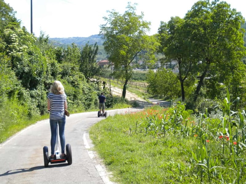 Alba: Guided Segway Tour through Langhe Hills and Vineyards - What $94 means in practical value