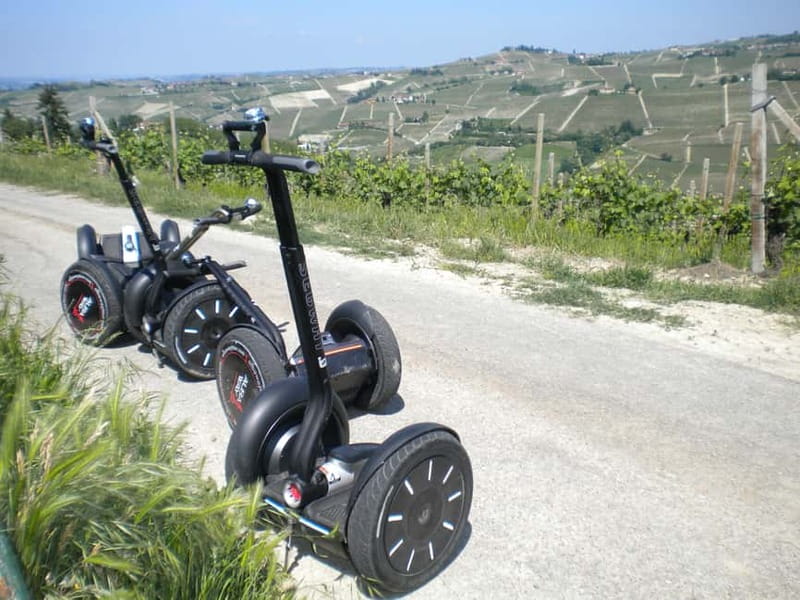 Alba: Guided Segway Tour through Langhe Hills and Vineyards - Language, pace, and the guide