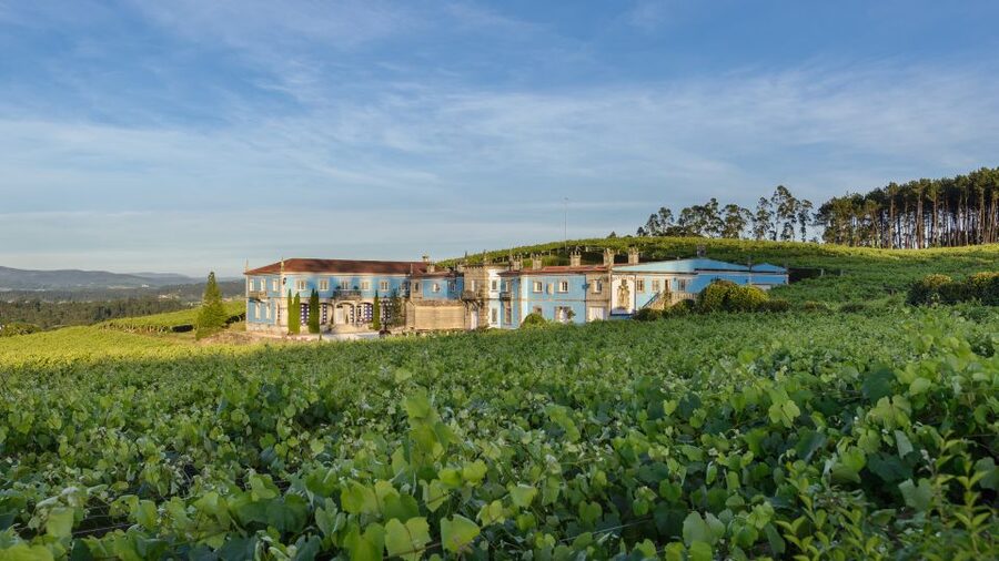Albariño Wine Tasting with Winery Tour - Why Albariño belongs in Galicia