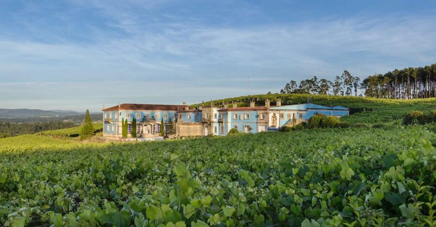 Albariño Wine Tasting with Winery Tour - Inside the winery and the Albariño story