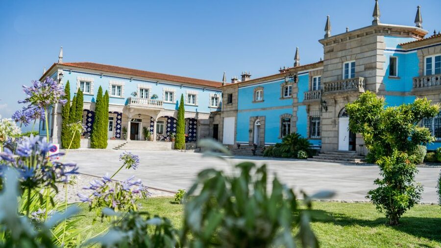 Albariño Wine Tasting with Winery Tour - The 10-person group and the pace