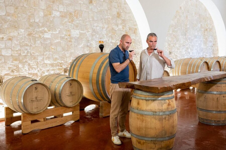 Alberobello: Winery Tour with Wine and Food Tasting - Starting among the vines near Alberobello