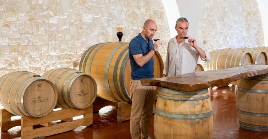 Alberobello: Winery Tour with Wine and Food Tasting - First glass: Minutolo with bread, tomato, and Primosale