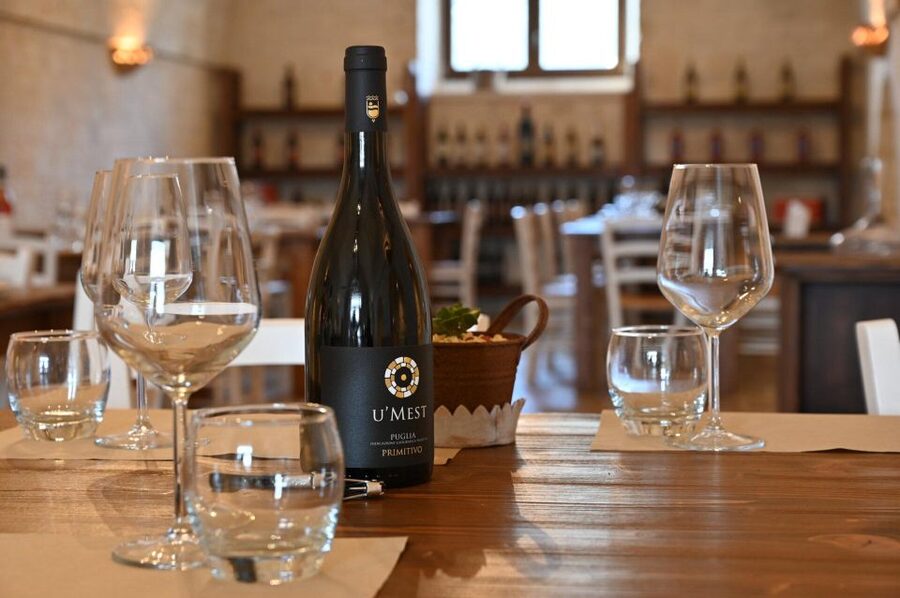 Alberobello: Winery Tour with Wine and Food Tasting - Final glass: Primitivo with DOP specialties