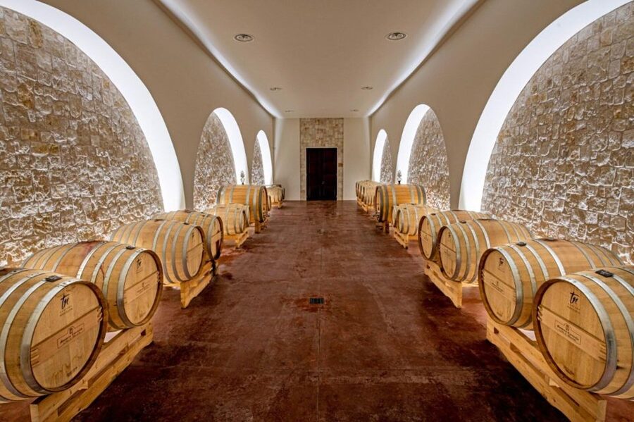 Alberobello: Winery Tour with Wine and Food Tasting - Is $65 a fair price?