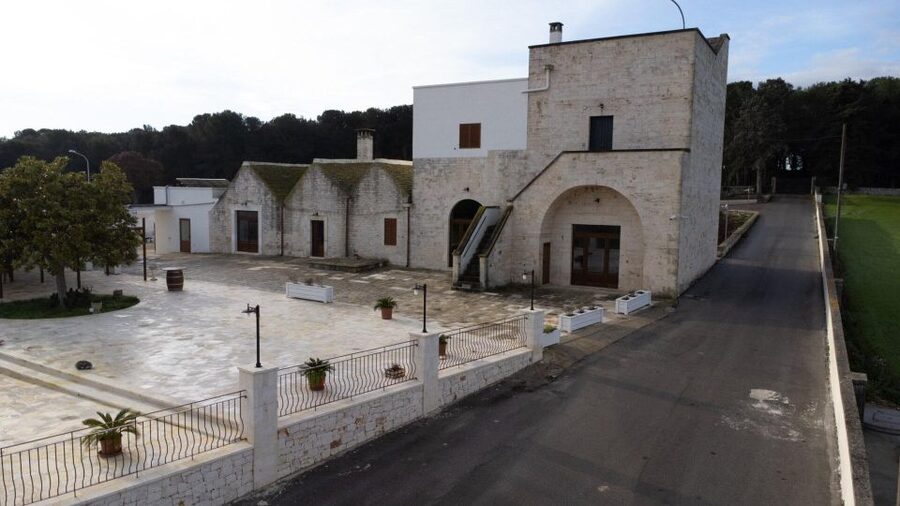 Alberobello: Winery Tour with Wine and Food Tasting - A guided look at the vineyard and winery