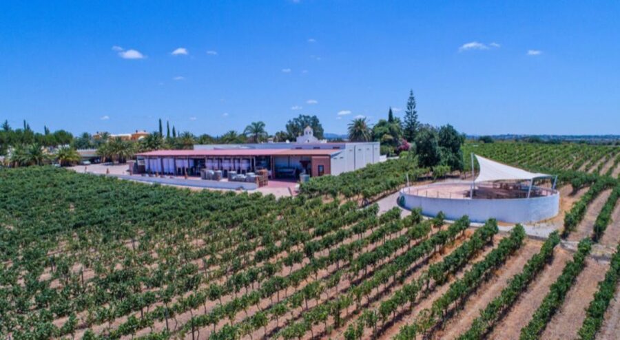 Albufeira Coast Tour, Winery & Delicious Chicken lunch - From Vilamoura or Albufeira to the first view