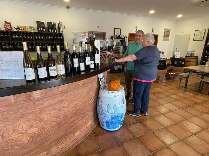 Albufeira, Olhão, Faro: Visit a vineyard, Free time in Silves - Why the winery visit is the heart of the day